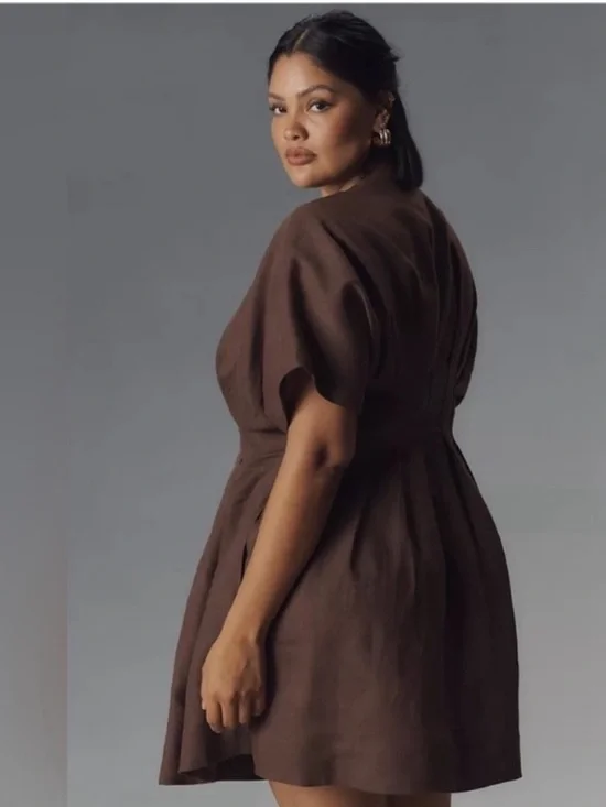 Anthropologie The Tobie Linen Pleated Mini Shirt Dress by Exquise - Picture 6 of 10